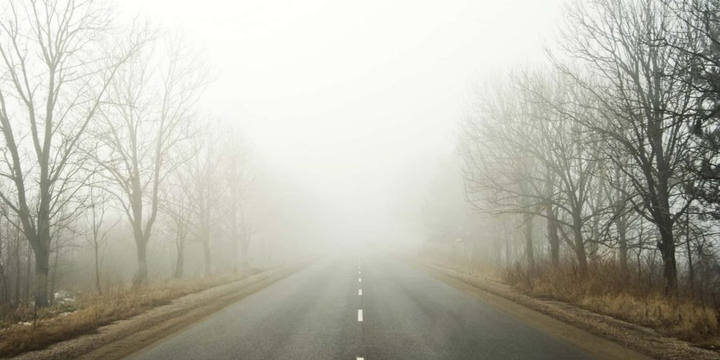 đường đi bị phủ sương mù nhẹ với 2 hàng cây khô 2 bên
